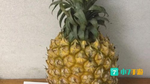 大菠萝