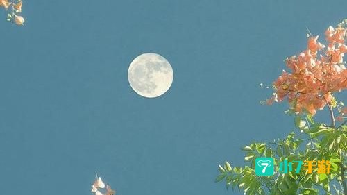 2020最好看的手机桌面壁纸
