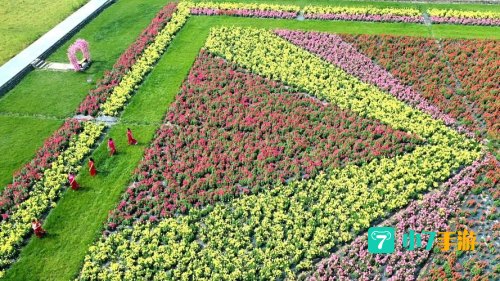 花圃种植