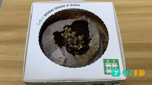 超级种子