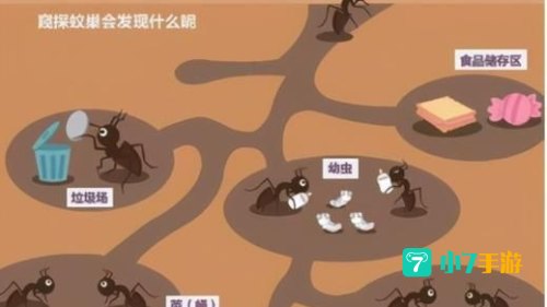 AOE家园
