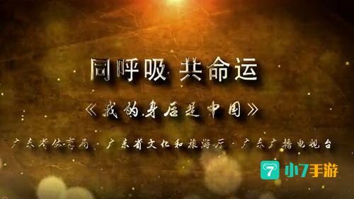在线观看正能量视频WWW正能量